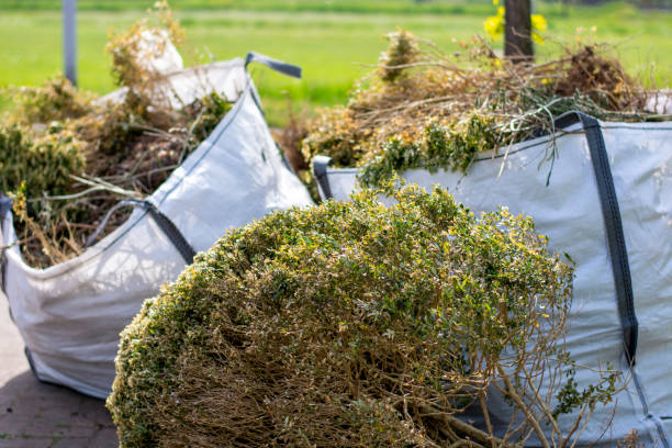 Attic Cleanout Services in El Campo, TX